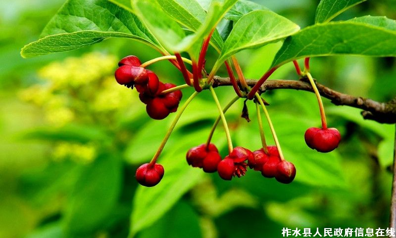 ��ɽ��ˮ������