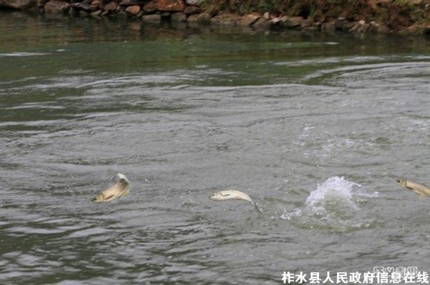 ������ˮ�����ҵļ�