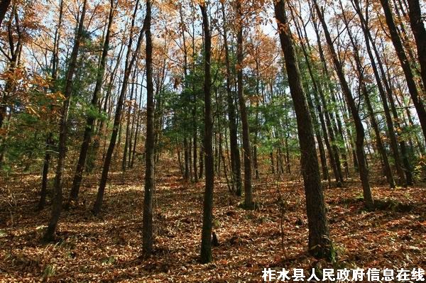 ��ˮ����ӡ��