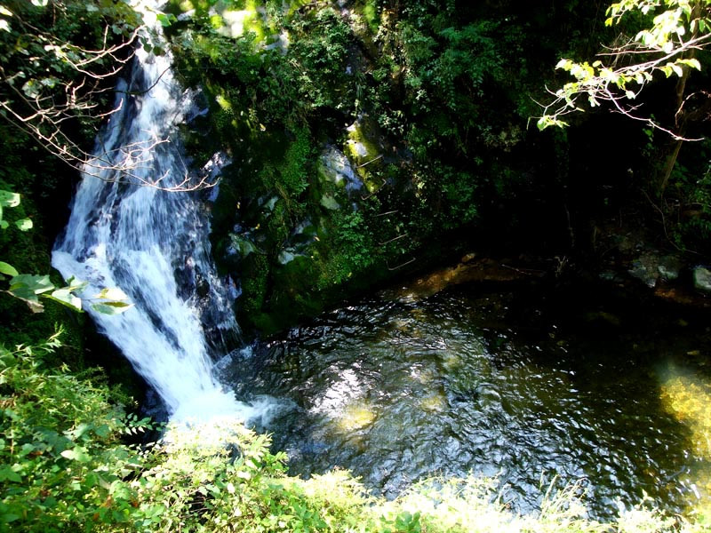 ����ɽ�ٲ�