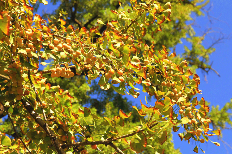 ��ˮ���ʹ�