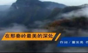 ���������������