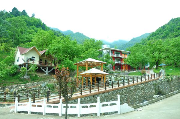 ����ɽ�����