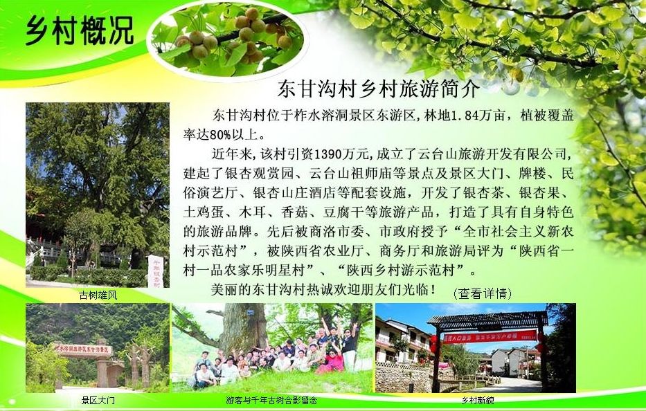 ���ʹ���