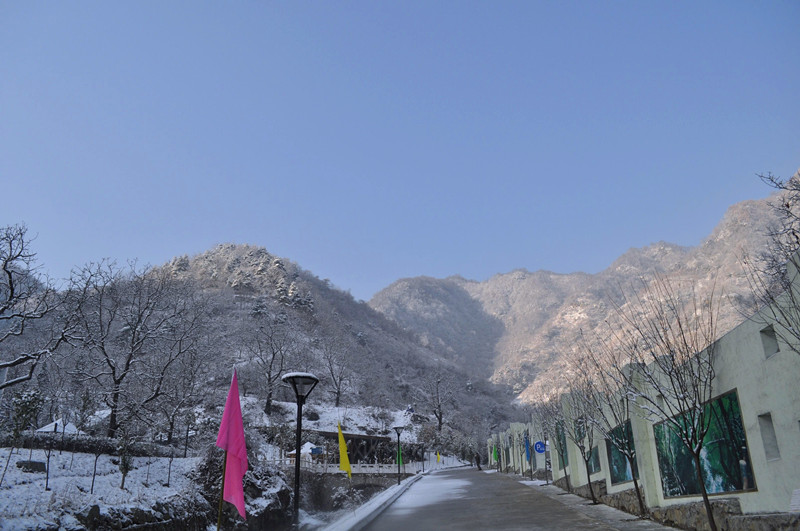 ����ɽ���ʻ�ѩ�� 