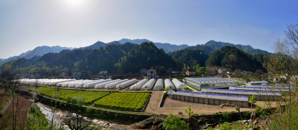 ����������԰��