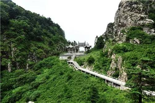 ��ţ����֮�á�����������Ӱ������ʼ����