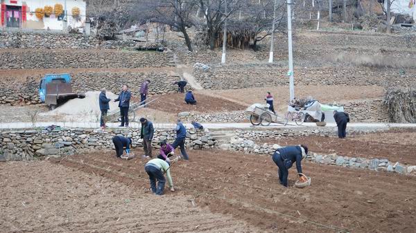 ����ʳ�ְ������̨�������ֲæ