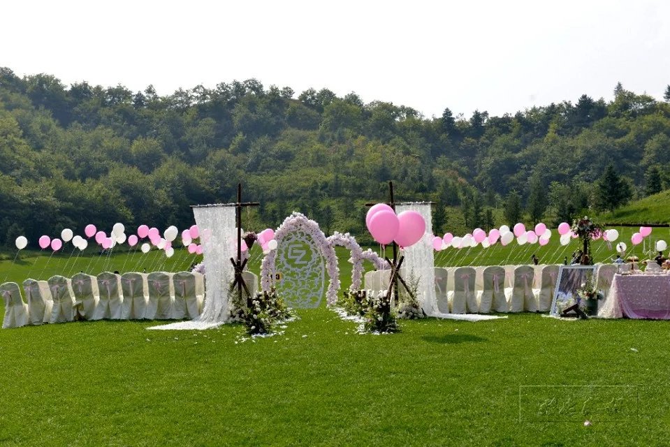 ��ˮֲ�����԰����˲��