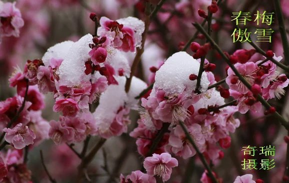 ��ˮ֮��������