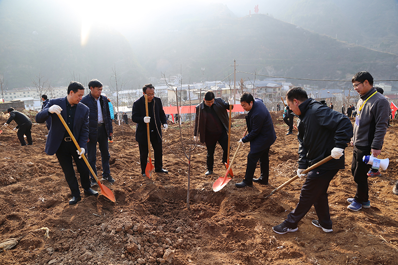 ��ˮ�����𴺼�ֲ���ȳ�